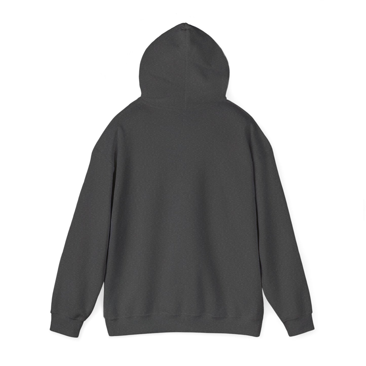 Pedri Gonzalez Unisex Hoodie